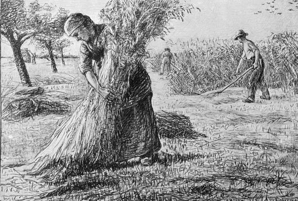 ilustraciones, imágenes clip art, dibujos animados e iconos de stock de cosecha de trigo, los segadores - 1884