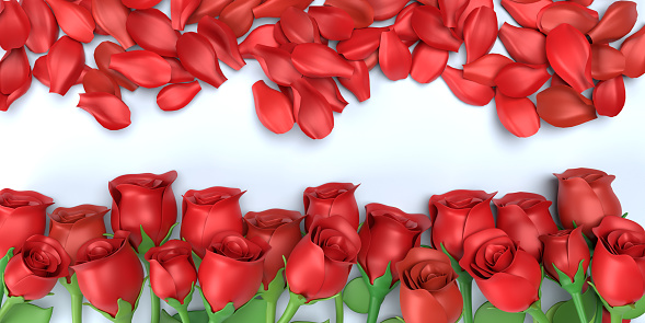 Red roses on white background. Love, Valentine’s Day and relationships concept. Easy to crop for all your social media or print sizes.