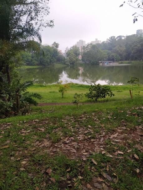 istock Aclimacao park in a cloudy day 1362202243