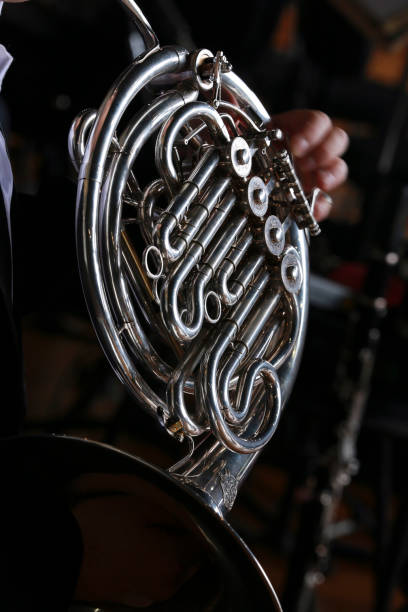 istock Musician rehearsing on his horn 1362202434