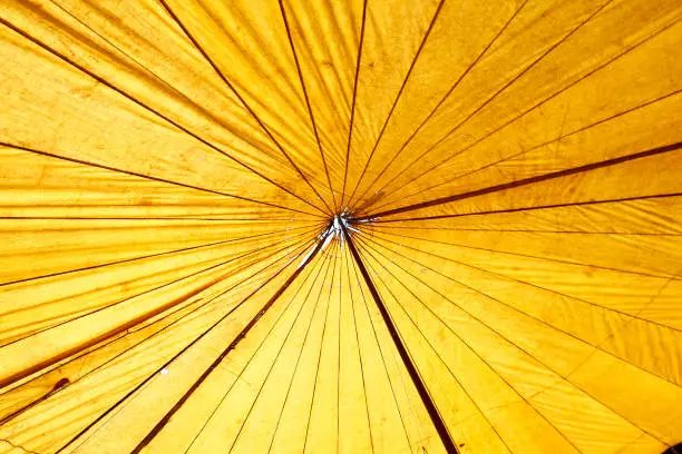 Photo of Threadbare tent  of traveling circus