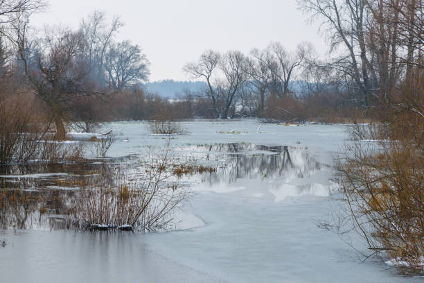 istock Winter at Warta river in Warta Landscape Park, Poland. 1362203132