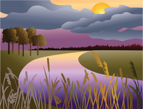 The vector image of a moonlit night on coast of the river.