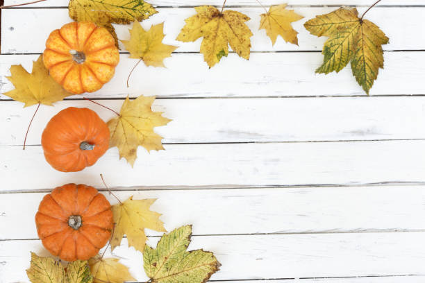 istock Pumpkin, autumn fruits and leaves 1362204199