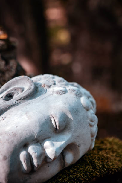 close-up abandoned old stone buddha head in nature