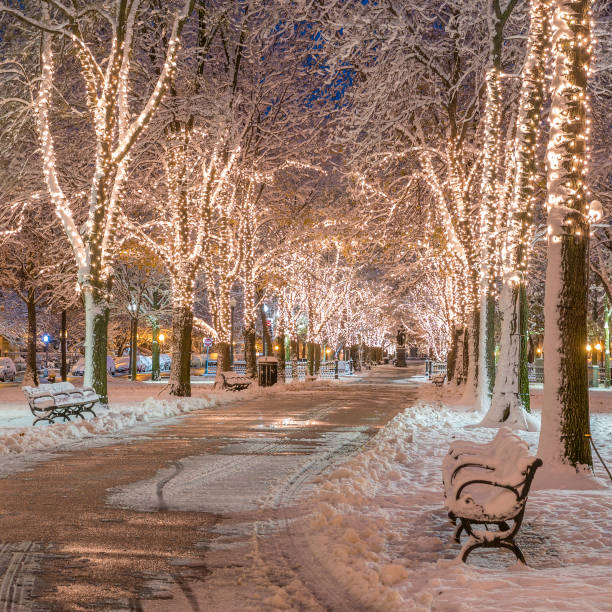 미국 매사추세츠주 보스턴. - boston winter snow massachusetts 뉴스 사진 이미지