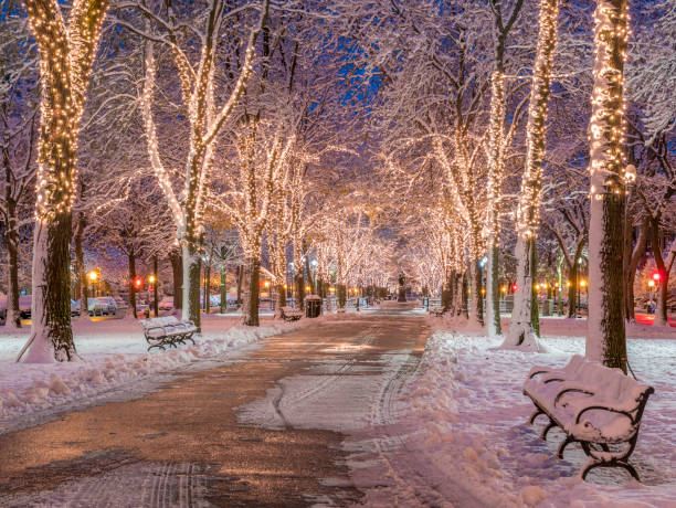 istock Boston in Massachusetts, USA 1362212038