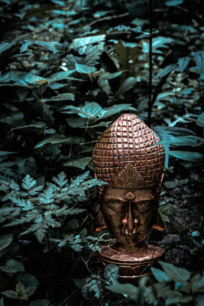 istock old abandoned gold plated buddha head in nature 1362212135