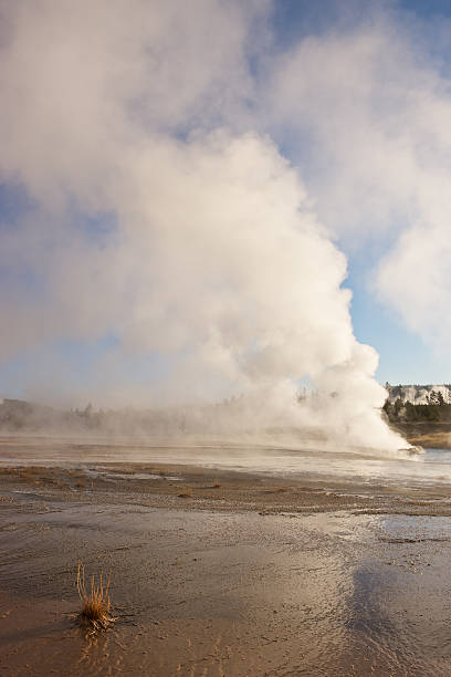 istock Yellowstone, Norris Geyser Basin 136221217