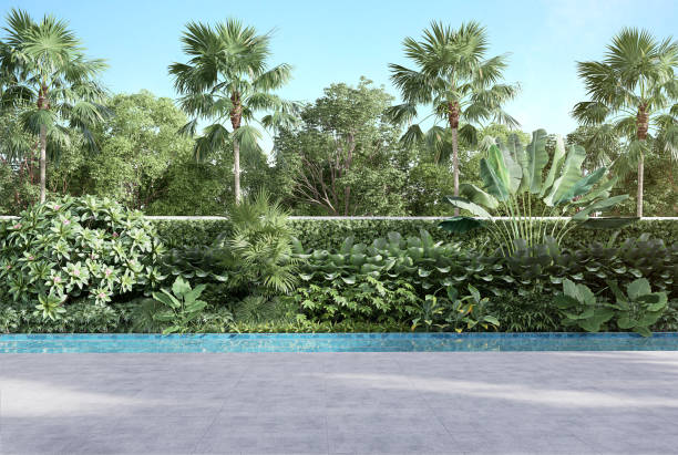 istock Empty swimming pool terrace with nature view background 3d render 1362214276