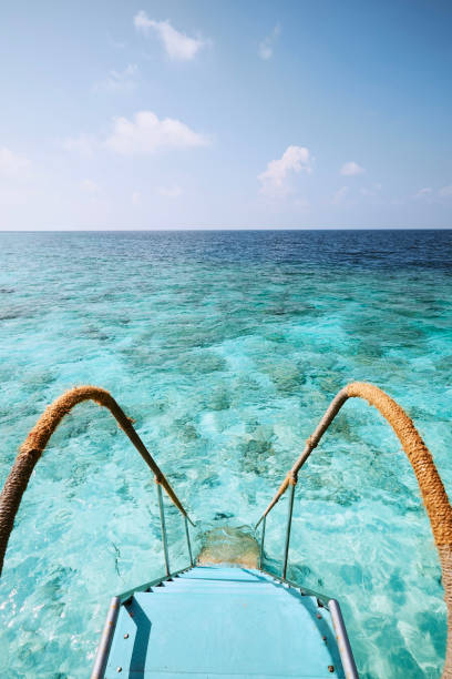 Staircase to sea with coral reef. Themes pure nature, discovery and tropical vacations.