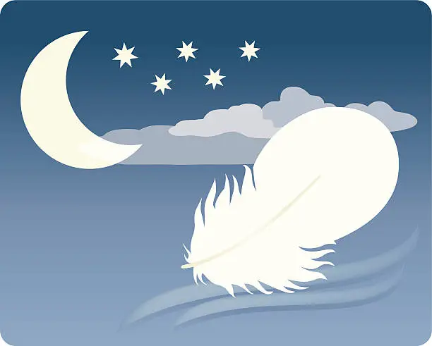 Vector illustration of Flying Feather in the Night.