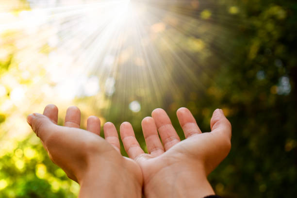 istock Hands in nature and sun lights 1362219254