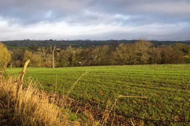 Landscape of Normandy bocage around the village of Cerisy-Belle-Etoile