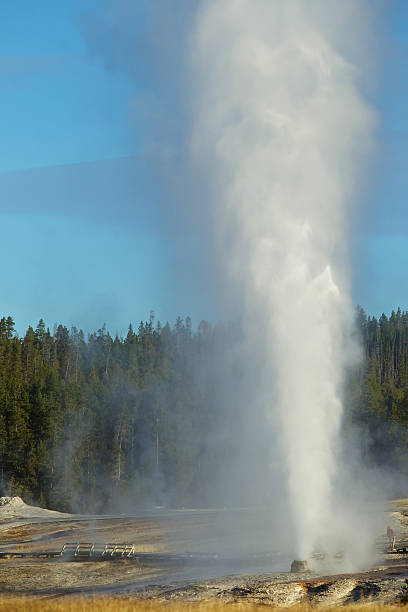 istock Yellowstone, Beehive Geyser 136222236
