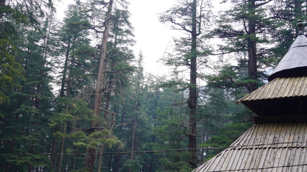 istock Hadimba Devi temple in manali images 1362225496