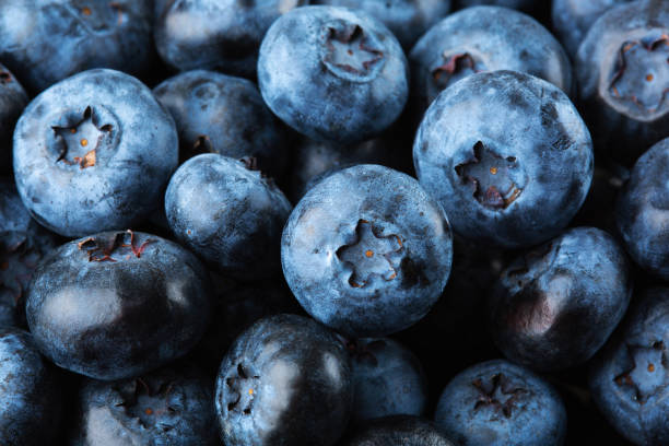 istock Blueberries background, macro food photography 1362225513