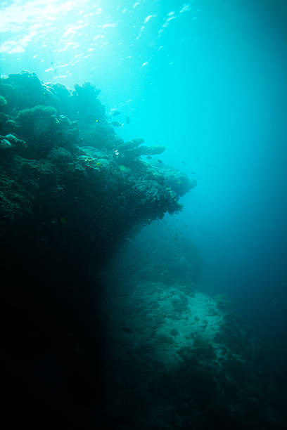 istock Edge of the deep 136222727
