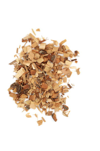 istock Saw Palmetto Herb Alternative Medicine 1362227751