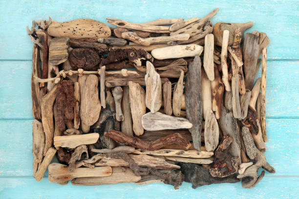 Driftwood Abstract Art Sculpture on Rustic Wood