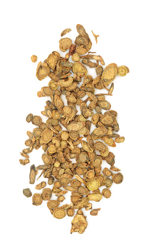 Scutellaria root herb Chinese herbal plant medicine on white background. Also known as skullcap. Huang Qin. Heals dysentery, hypertension, inflammation, insomnia, respiratory infections and diarrhoea.