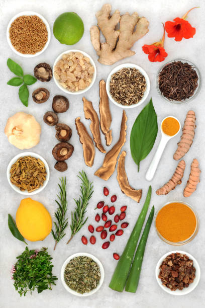 istock Healing Health Foods to Boost the Immune System 1362228401