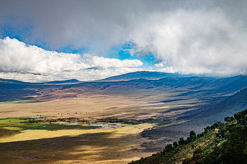 Ngorongoro in tanzania wild animals faune sauvage