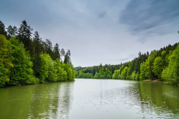 Germany, Herrenbachstausee lake water in green forest nature landscape at adelberg goeppingen with cloudy sky