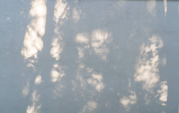 istock Abstract leaves gray shadow background with light bokeh, Abstract gray shadow background of natural leaves tree branch falling on white wall and wallpaper texture 1362233390