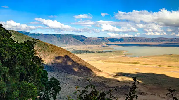 Ngorongoro in tanzania wild animals faune sauvage
