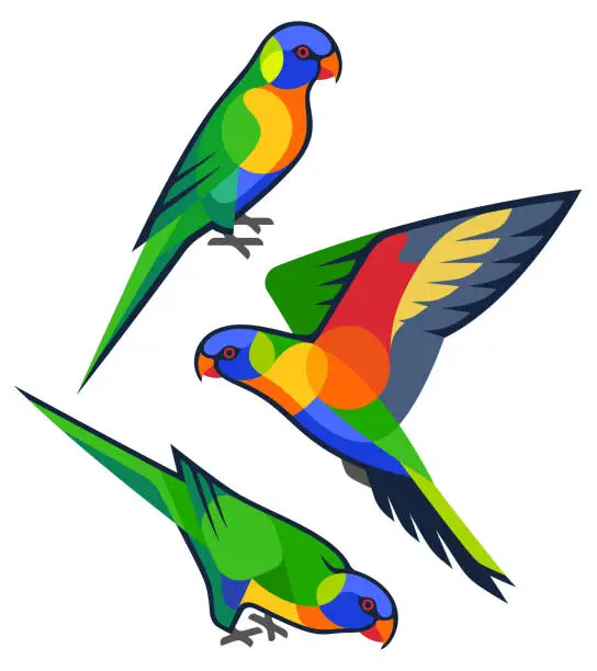Vector illustration of Stylized Parrots