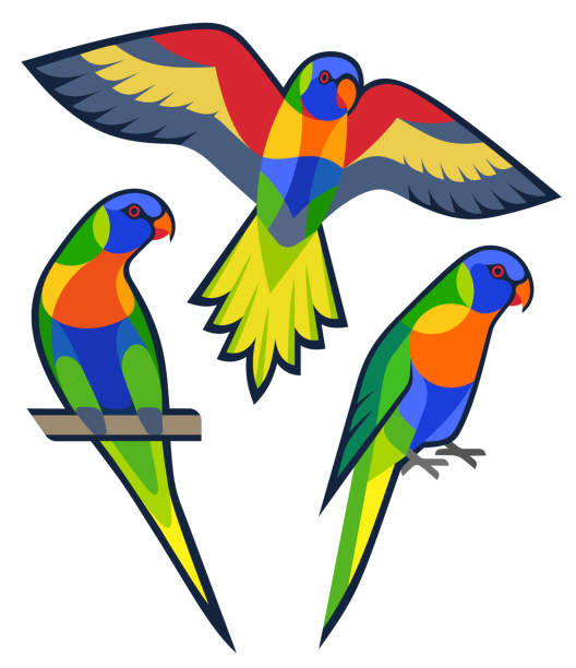 Stylized Parrots Stylized Birds - Rainbow Lorikeet lorikeet stock illustrations