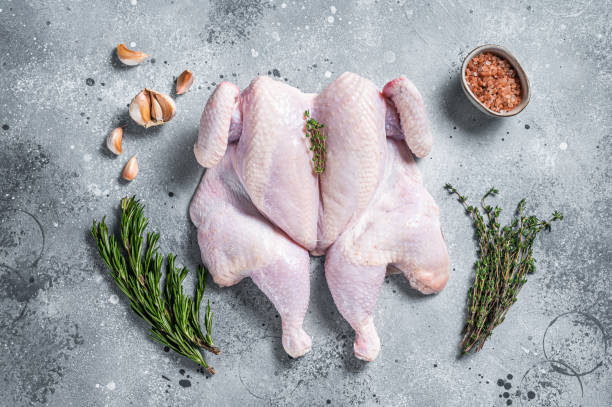 istock Raw spatchcock chicken meat with garlic and thyme. Gray background. Top view 1362235025
