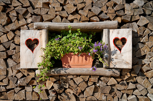 Mountain home window decorated with a potted plant. Lagorai Mountain Range. Trentino-Alto Adige. Italy.