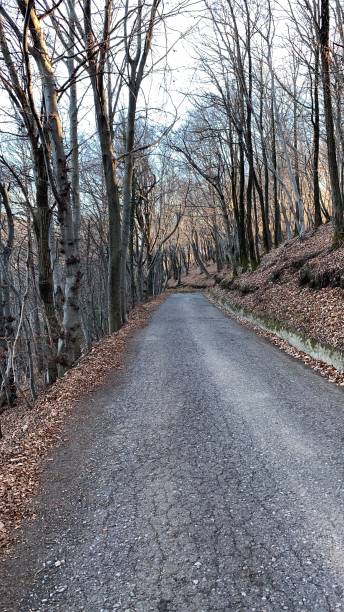 istock North Italian pre Alps on New Year’s Day 1362242145