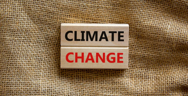 istock Climate change symbol. Wooden blocks with words 'Climate change' on beautiful canvas background. Business, ecological and climate change concept. Copy space. 1362245979
