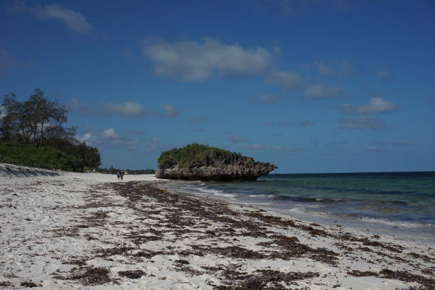 istock Beautiful scenery on the beach in Watamu 1362246138