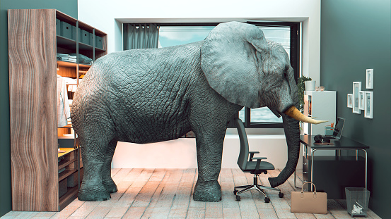 Elephant stands in the middle of a room and looking into the wall. Probably daydreaming about another place to live with more space.