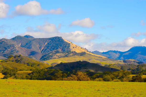 istock Santa Ynez Valley, California 1362246858