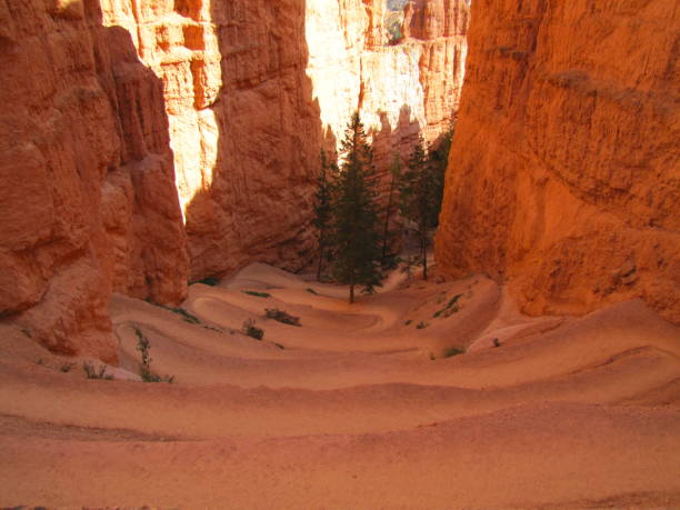 istock Bryce Canyon National Park Utah USA 1362247061