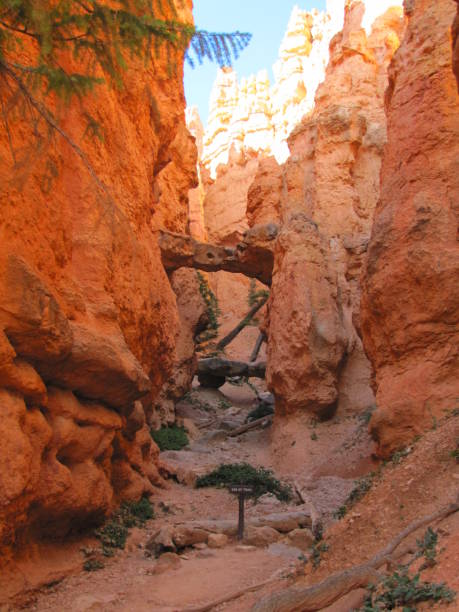 istock Bryce Canyon National Park Utah USA 1362247084