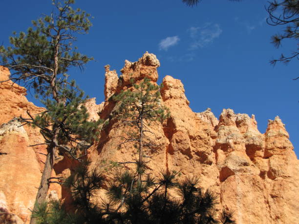 istock Bryce Canyon National Park Utah USA 1362247086