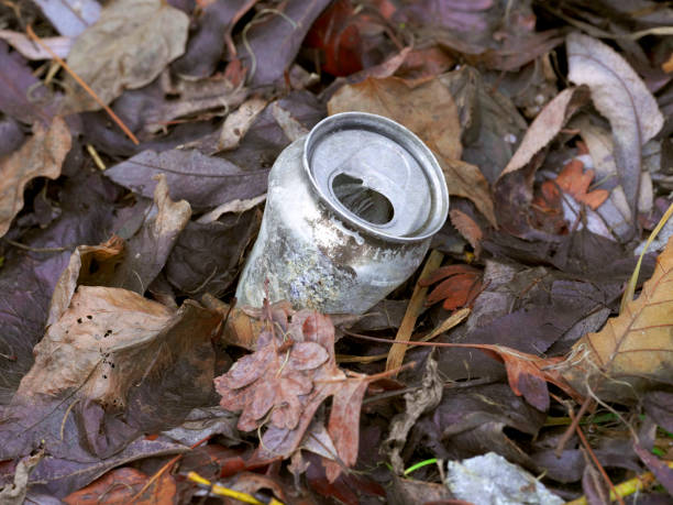 istock Soft Drink Can Fungus Growing on Forest Soil 1362252766