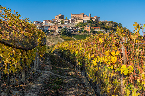 Beautiful hills and vineyards during fall season surrounding La Morra village. In the Langhe region, Cuneo, Piedmont, Italy.