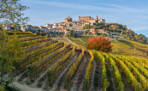 belle colline e vigneti durante la stagione autunnale che circondano il villaggio di la morra. nelle langhe, cuneo, piemonte, italia. - langhe foto e immagini stock