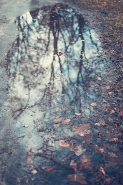 istock Puddle. Reflections of the sun and clouds 1362256367