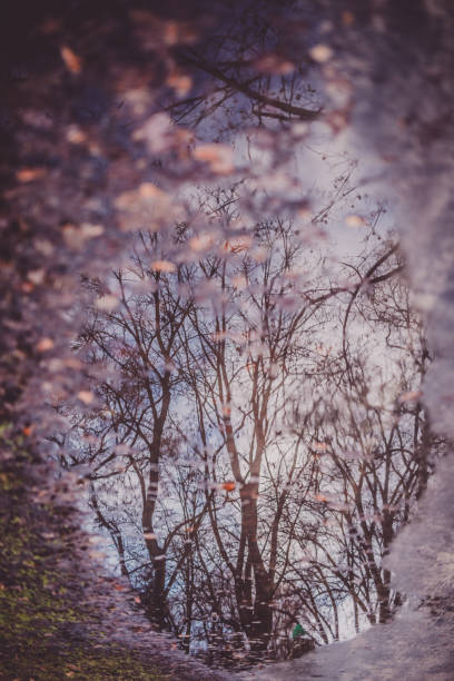 istock Puddle. Reflections of the sun and clouds 1362257934