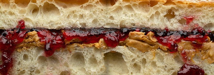 Cross section of a peanut butter & jelly sandwich.
