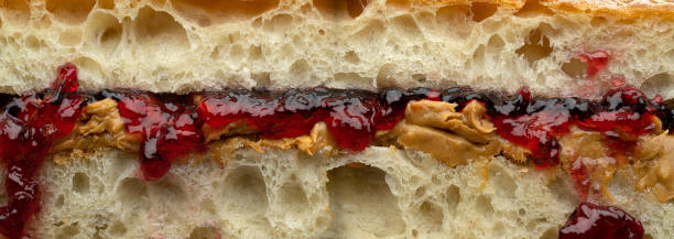 Peanut Butter and Jelly Sandwich Cross section of a peanut butter & jelly sandwich. peanut butter and jelly sandwich stock pictures, royalty-free photos & images