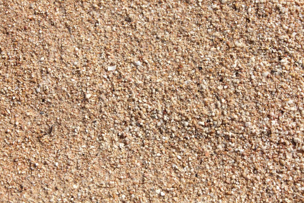 istock Background image of close up sandy tropical beach 1362262480
